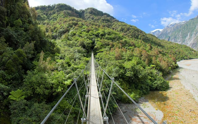 100m Jungle Crossing, West Coast, New Zealand