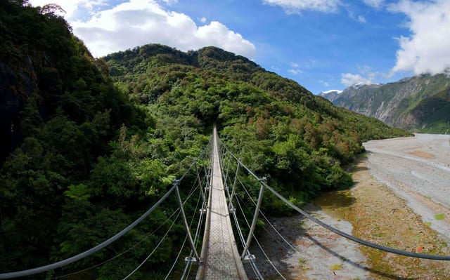 100m Jungle Crossing, West Coast, New Zealand