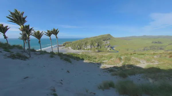 Above the Dunes, New Zealand