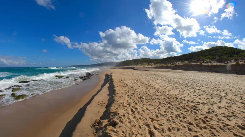 Along the Aussie Coast