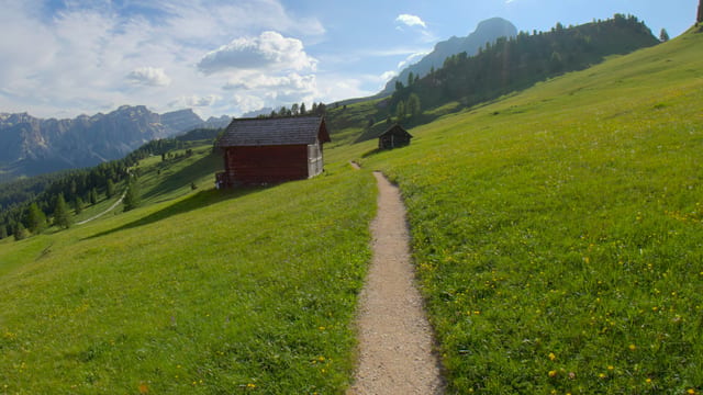 Alpine Meadow Wander, Dolomites, Italy