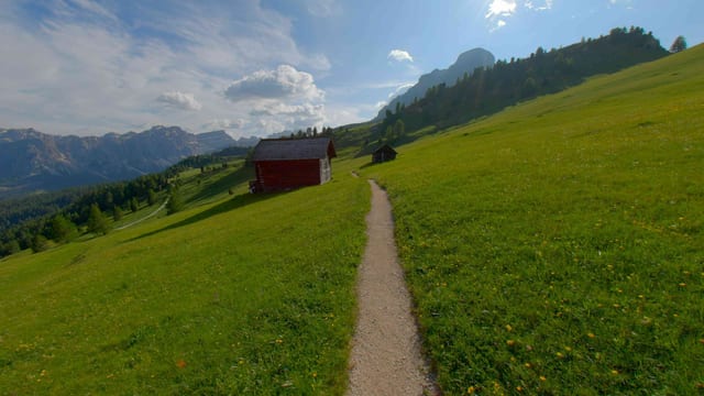 Alpine Meadow Wander, Dolomites, Italy