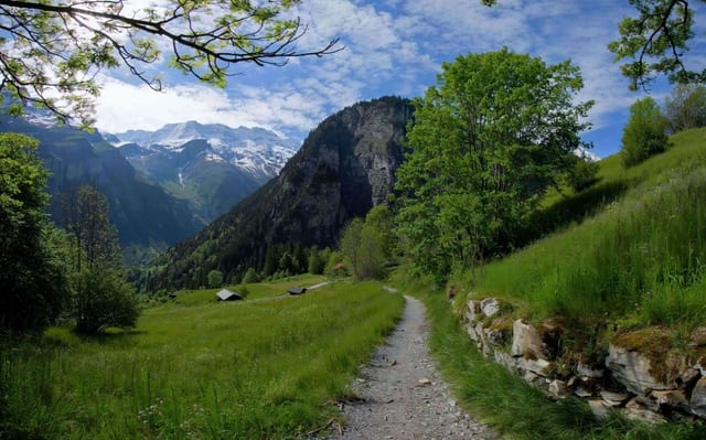 Alpine Meadows and Mighty Peaks, Bernese Oberland, Switzerland