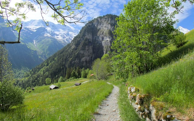 Alpine Meadows and Mighty Peaks, Bernese Oberland, Switzerland