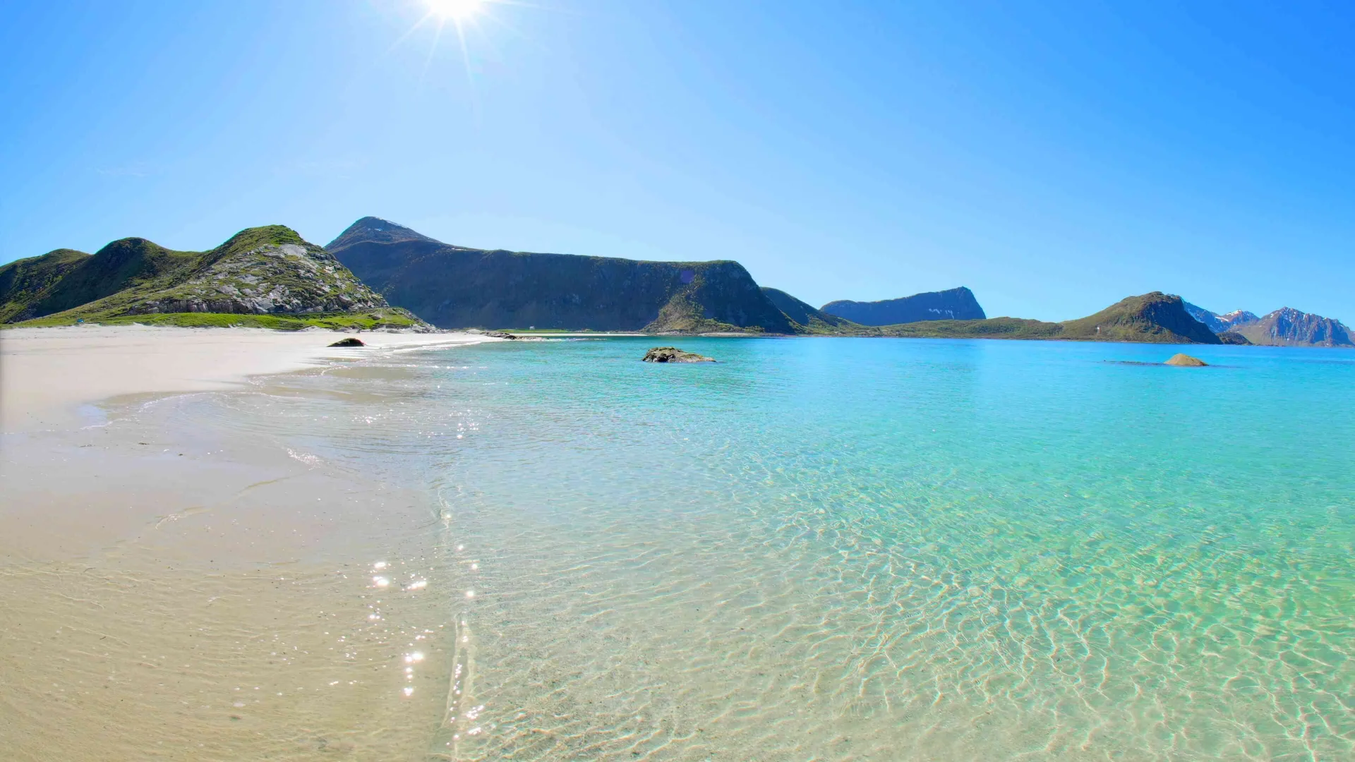 Arctic Shoreline Stroll, Lofoten, Norway
