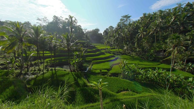Bali