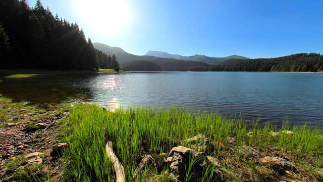 Black Lake Serenity, Durmitor, Montenegro