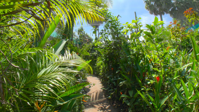 Butterfly Paradise, Siem Reap, Cambodia