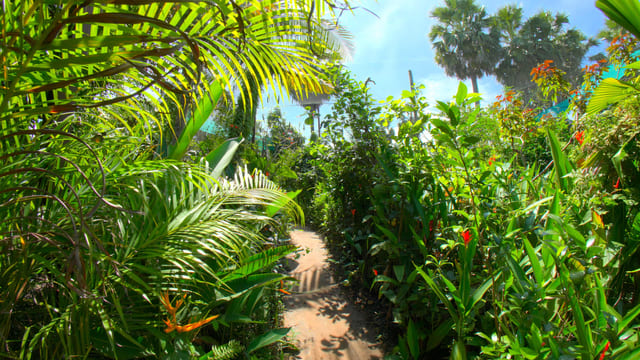 Butterfly Paradise, Siem Reap, Cambodia