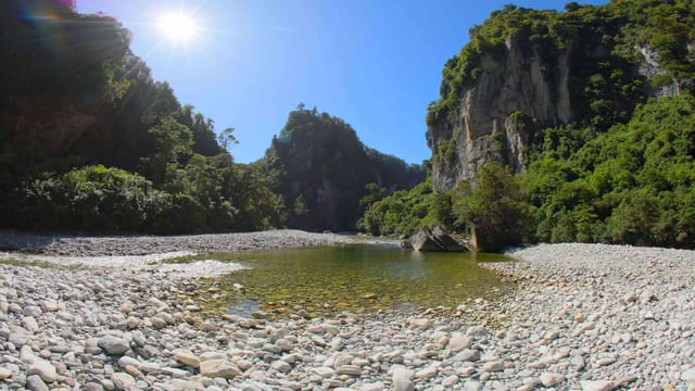 Canyon River Explorer, West Coast, New Zealand
