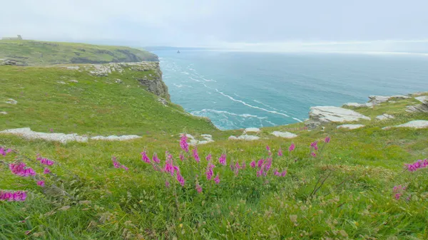 Clifftop Blooms