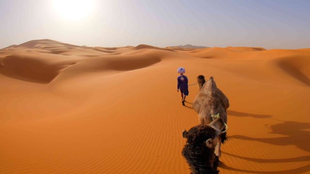 Desert Camel Trek, Sahara, Morocco