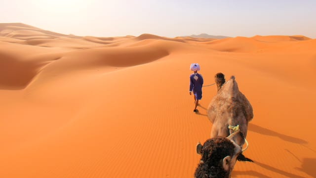 Desert Camel Trek, Sahara, Morocco