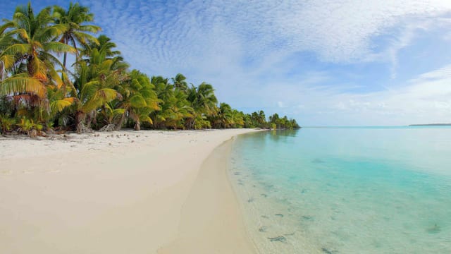 Desert Island Daydream, Aitutaki, Cook Islands