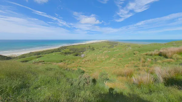 Distant Surf, New Zealand