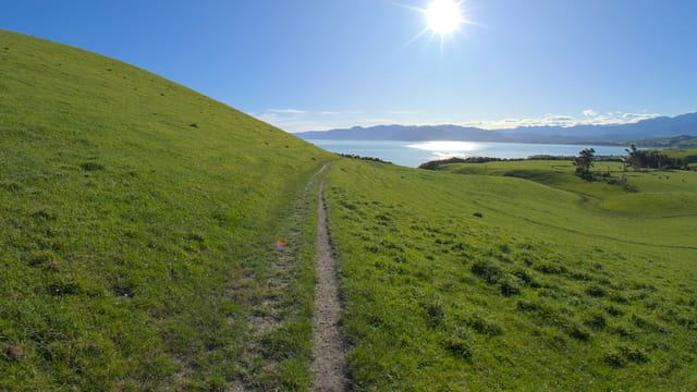 Green Paddock to Ocean, New Zealand
