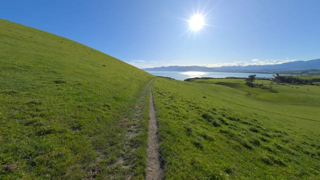 Green Paddock to Ocean, New Zealand