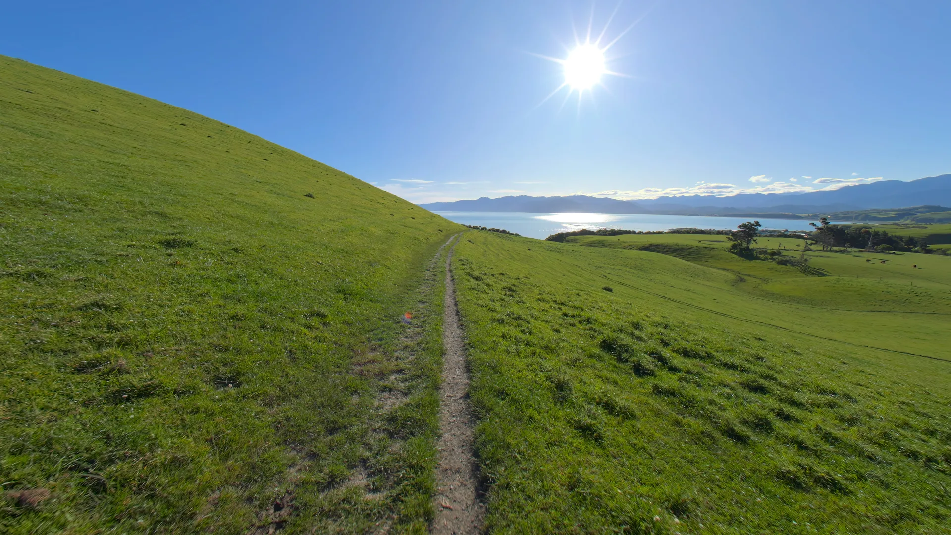 Green Paddock to Ocean, New Zealand