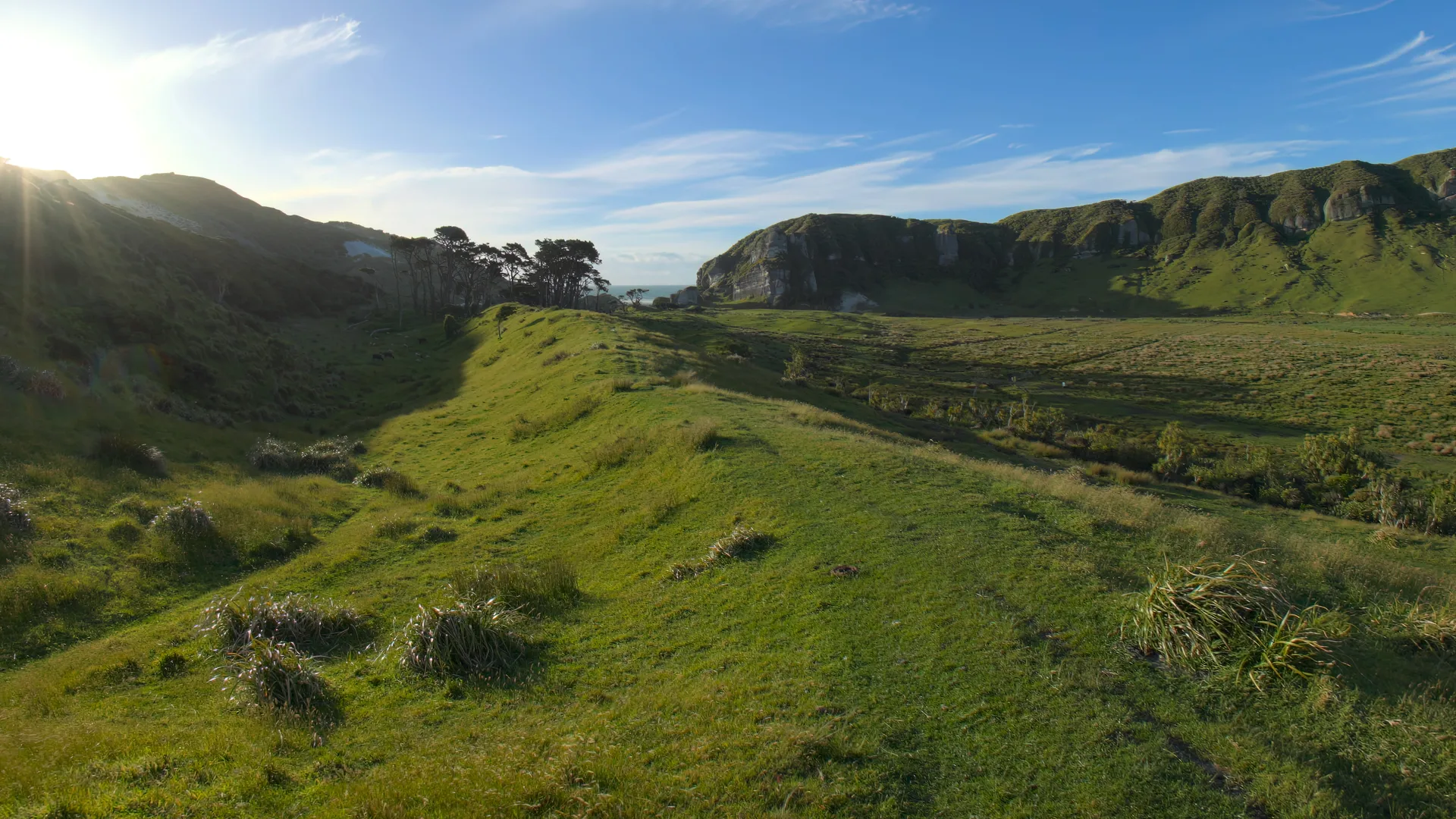 Green Pastures, New Zealand