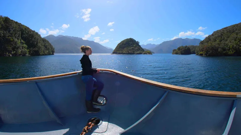 Guardians of Tamatea