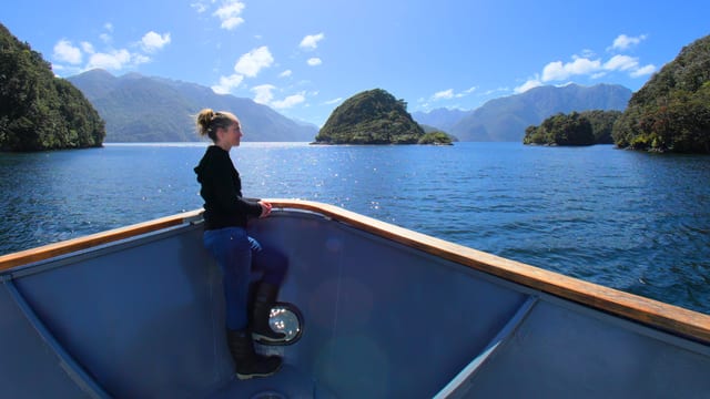 Guardians of Tamatea, Fiordland, New Zealand