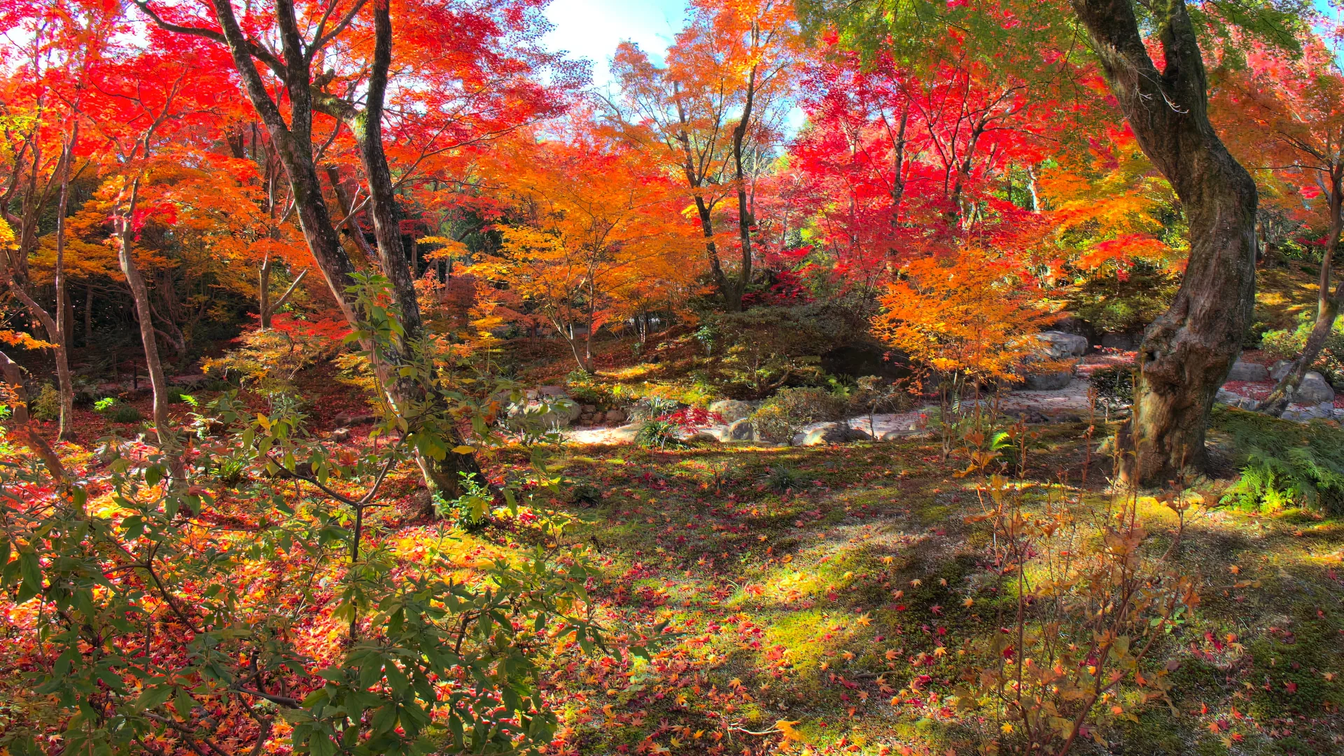 Japanese Gardens in Autumn, Kansai, Japan