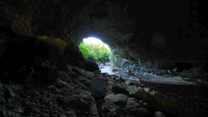 Jungle Cave Exploration