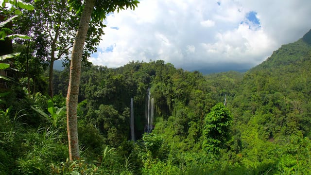 Jungle Falls, Bali, Indonesia