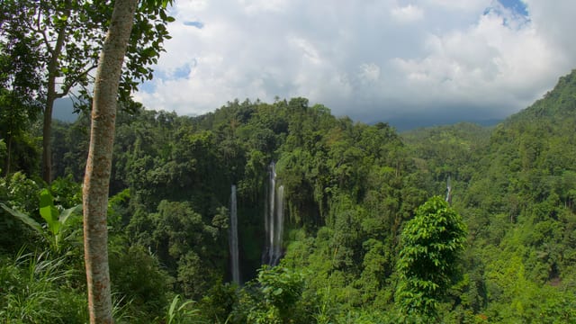 Jungle Falls, Bali, Indonesia