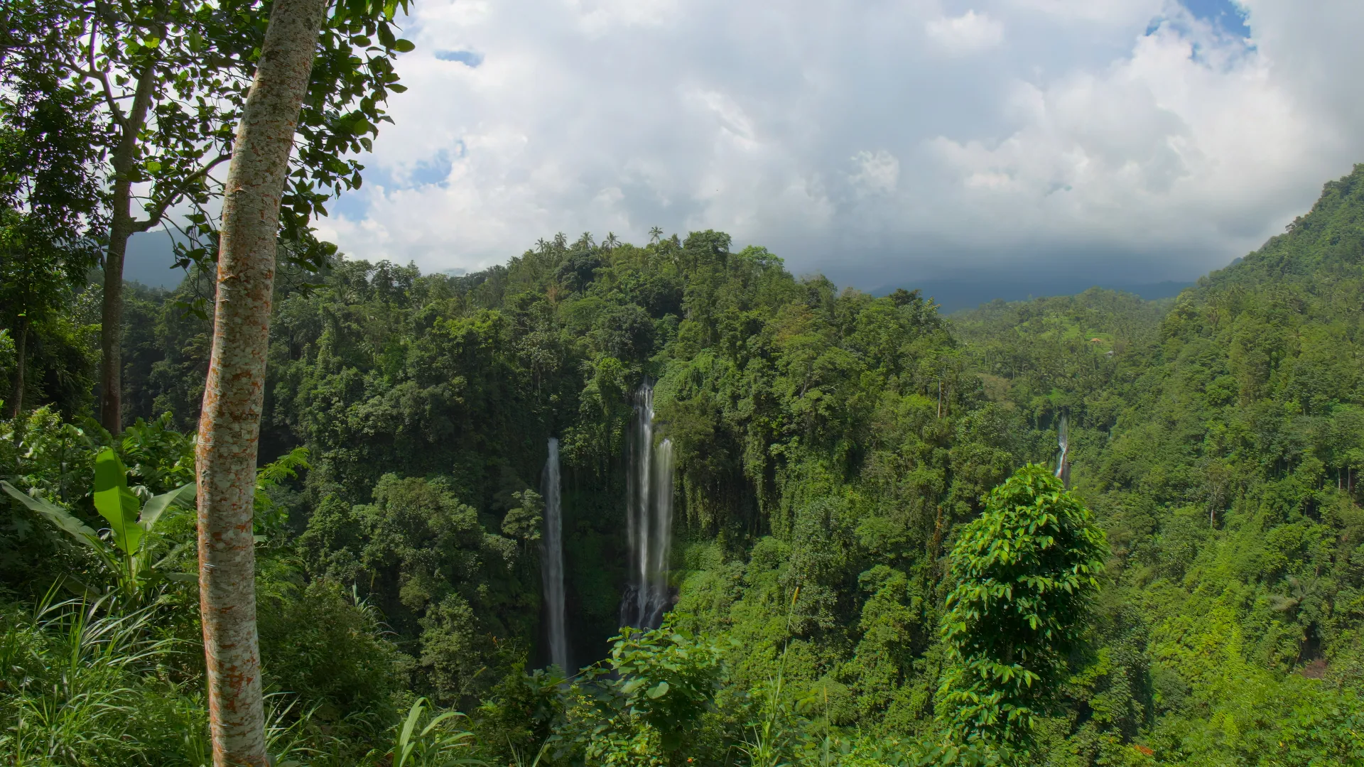 Jungle Falls, Bali, Indonesia