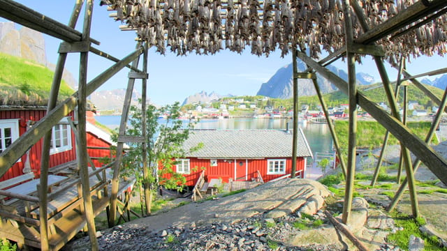 Lofoten's Stockfish Tradition, Lofoten, Norway