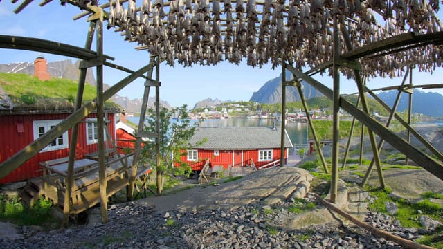 Lofoten's Stockfish Tradition, Lofoten, Norway