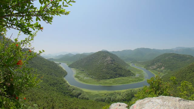 Loop in the River, Lake Skadar, Montenegro