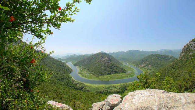 Loop in the River, Lake Skadar, Montenegro