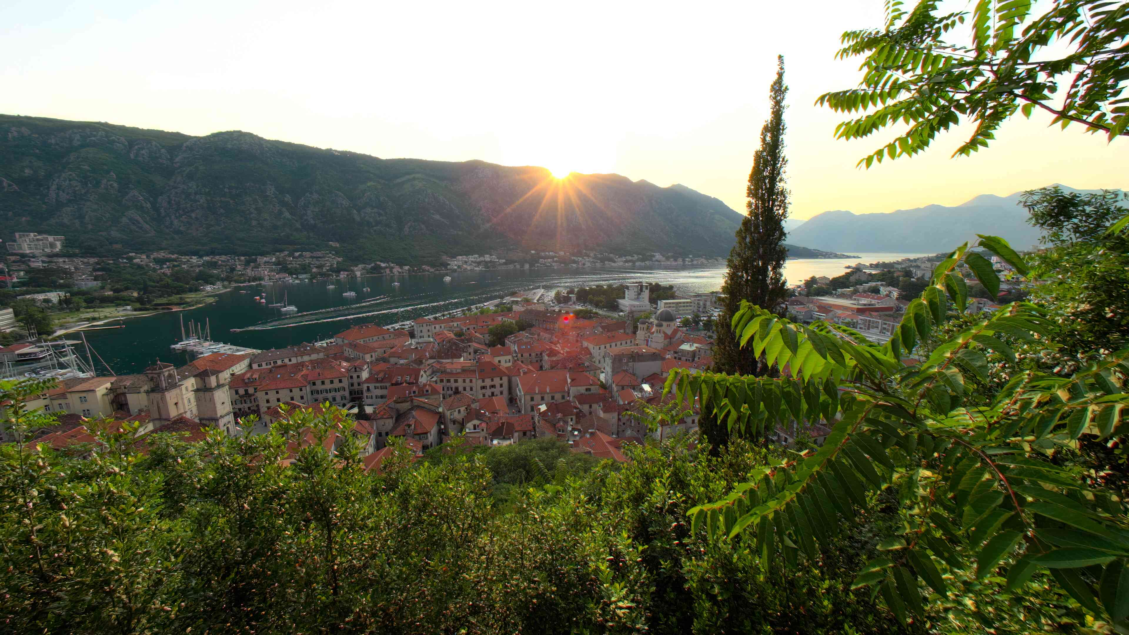 Montenegro (Foveated Test)