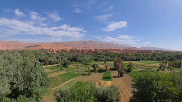 Oasis in the Desert, High Atlas, Morocco
