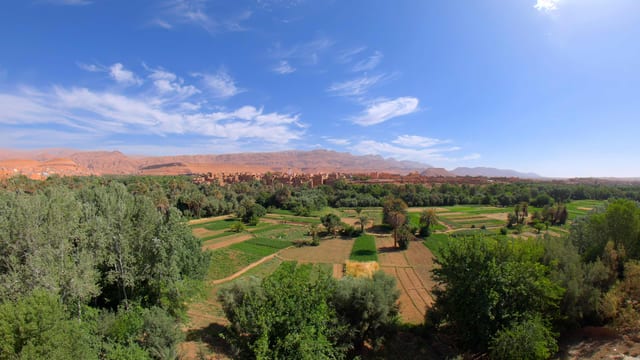 Oasis in the Desert, High Atlas, Morocco