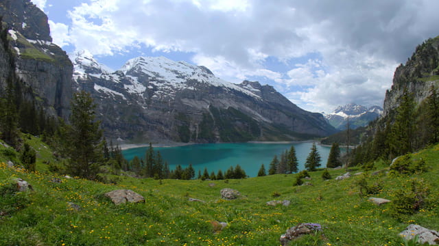 Oeschinen Lake Meadow, Bernese Oberland, Switzerland