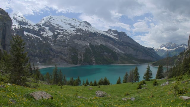 Oeschinen Lake Meadow, Bernese Oberland, Switzerland
