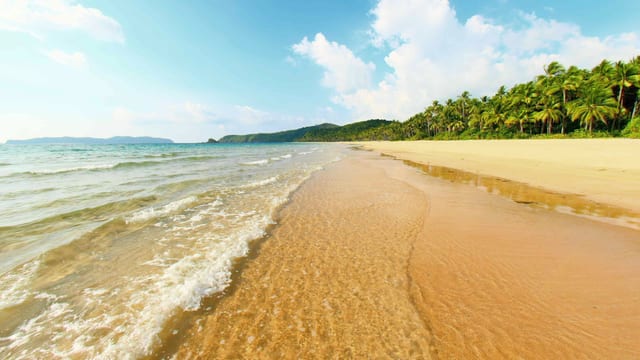 Palm Tree Beach Walk, El Nido, Palawan, Philippines