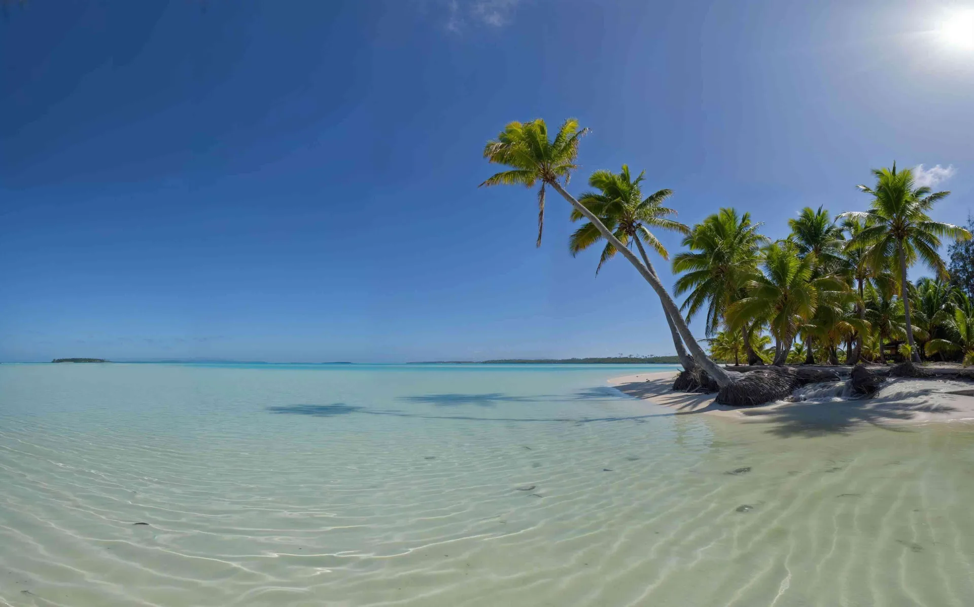Picture Perfect South Pacific, Aitutaki, Cook Islands