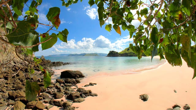 Pink Sand Beach Journey, Komodo, Indonesia