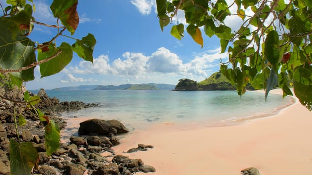 Pink Sand Beach Journey, Komodo, Indonesia