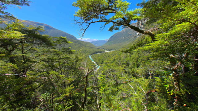 Quiet Valleys and Flowing Rivers, Fiordland, New Zealand