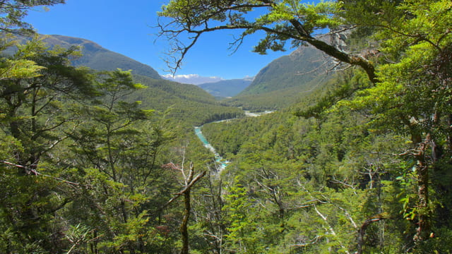 Quiet Valleys and Flowing Rivers, Fiordland, New Zealand