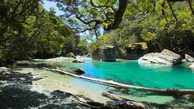 Riverside Relaxation, Fiordland, New Zealand