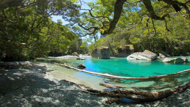 Riverside Relaxation, Fiordland, New Zealand
