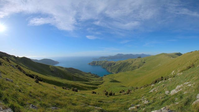 Rolling Green Hills and Coastal Views, Marlborough Sounds, New Zealand