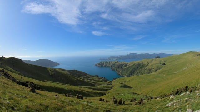 Rolling Green Hills and Coastal Views, Marlborough Sounds, New Zealand