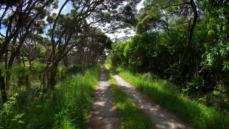 Shady Farm Track Avenue